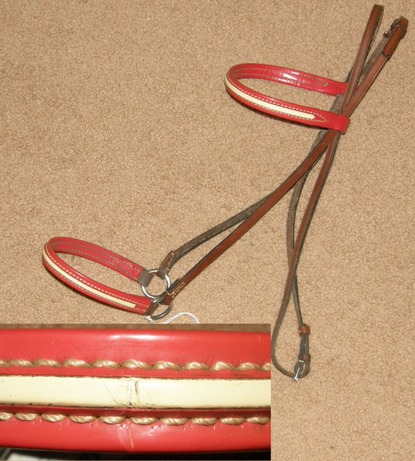 show halters arab